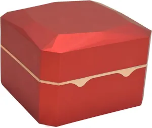 Case with LED Light Single Watch Box for Valentines telegraph misinterprete Day Birthday Gifts 11.5ax11.0x8.0cm Accessories Watch 